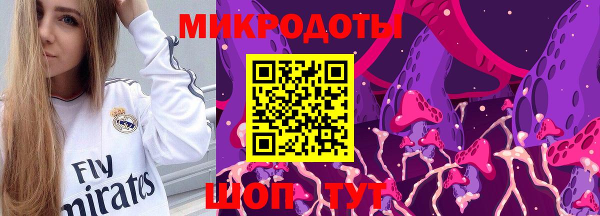 Галлюциногенные грибы Cubensis Асбест