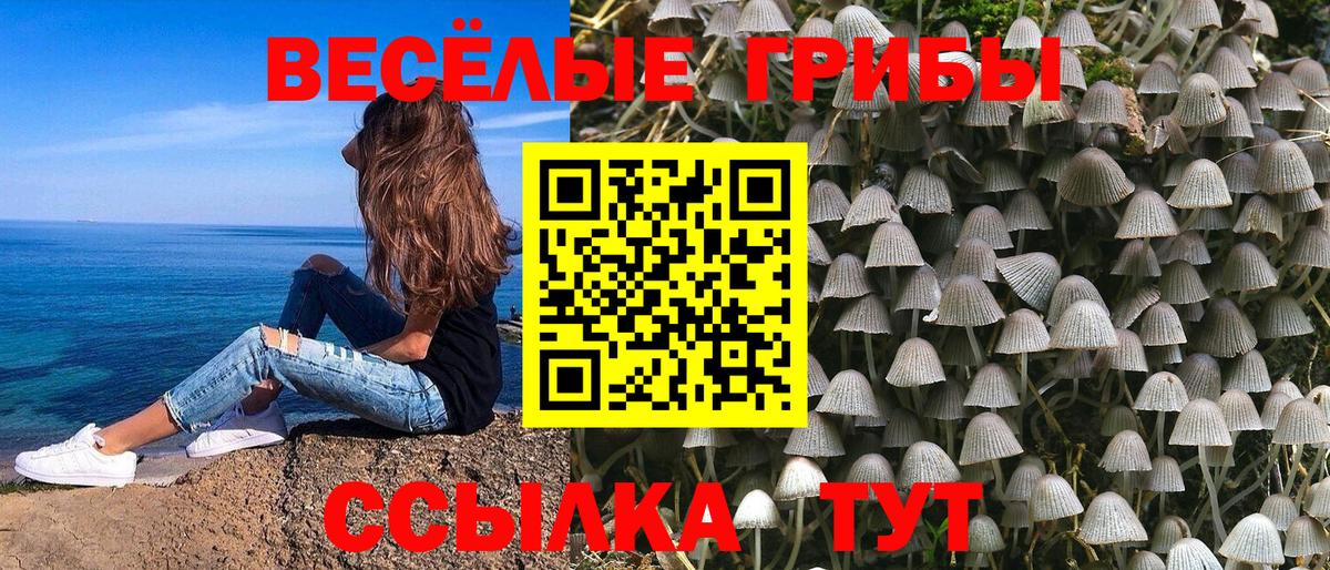 Асбест  Галлюциногенные грибы Magic Shrooms  Вход с VPN 